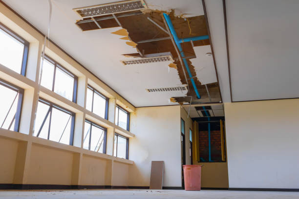  Waipio, HI Water damage restoration Pros