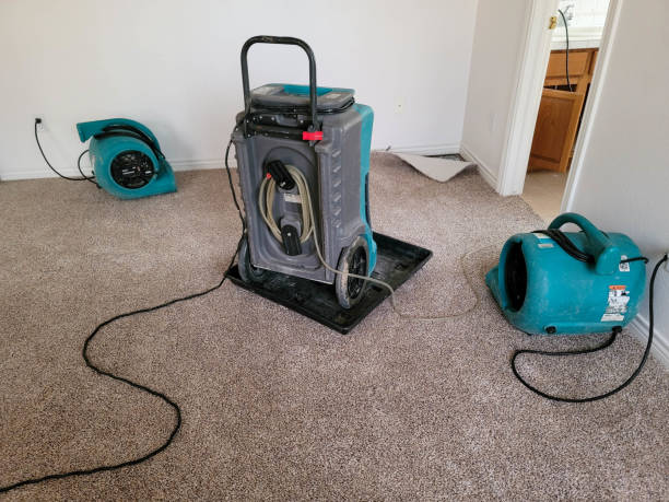 Best Water damage restoration company  in Waipio, HI