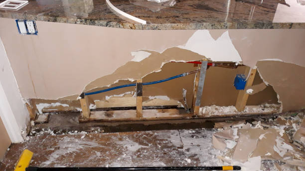 Best Water damage restoration process  in Waipio, HI