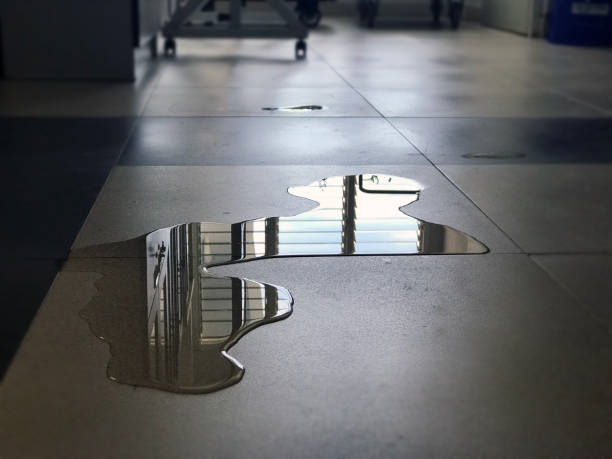 Professional Water damage restoration in HI